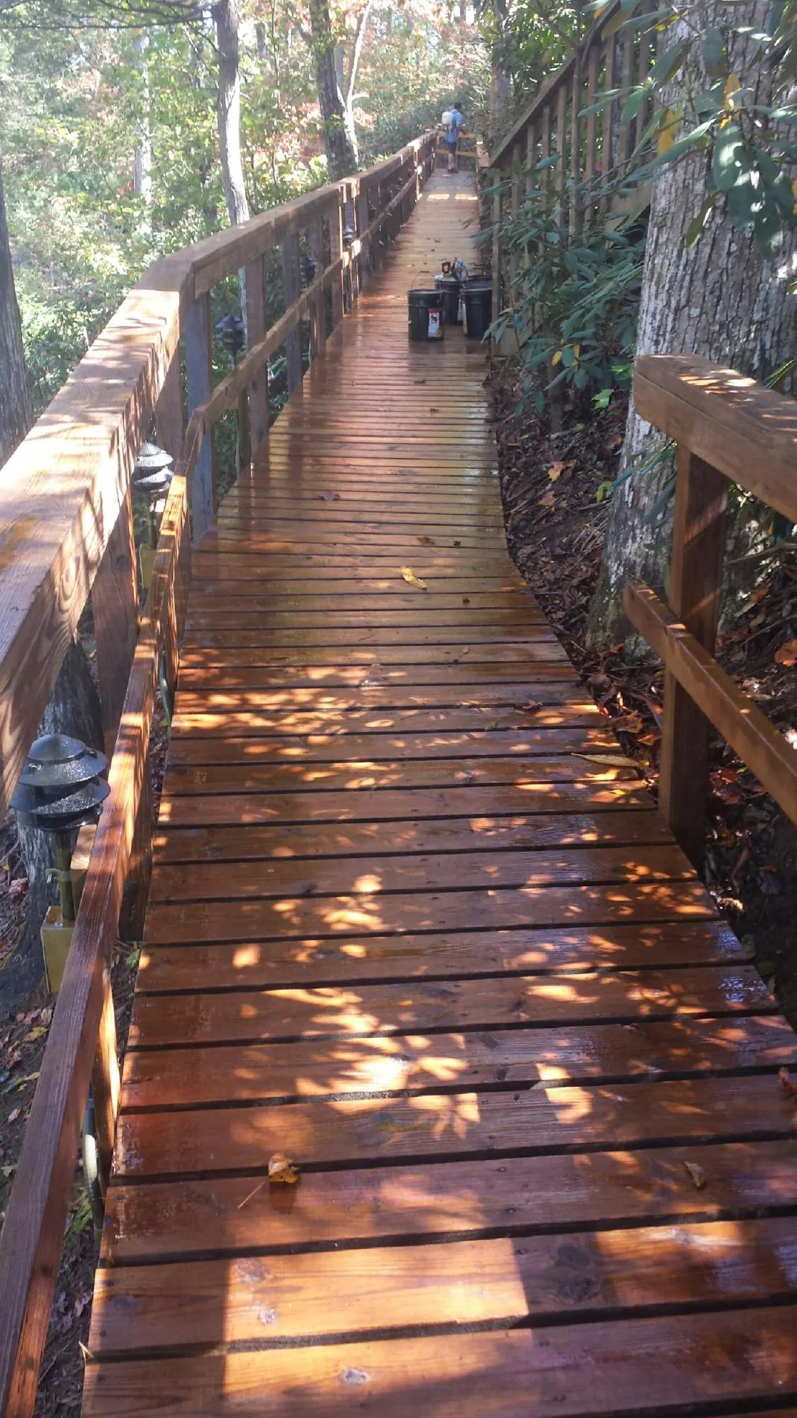 Freshly stained wood walkway winding through the woods in Fairview